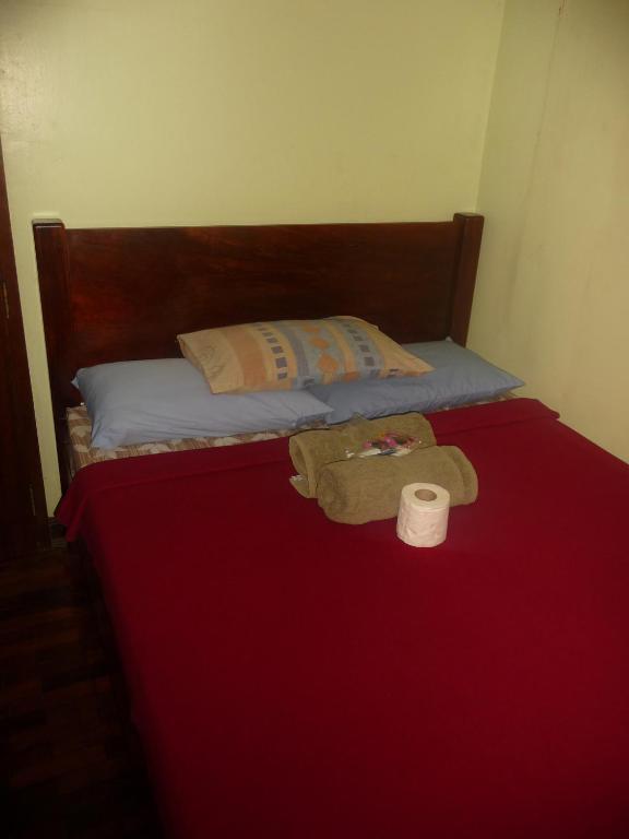 J-Lais Balai Turista - Pensionne House Puerto Princesa Rum bild